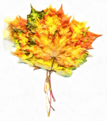 Bouquet of fall maple leaves digital watercolors