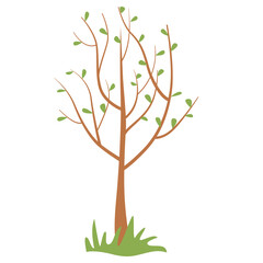 Young tree with leaves. Tree seedling for planting in spring in the garden. Planting of greenery concept. Vector illustration for environmental protection, volunteering