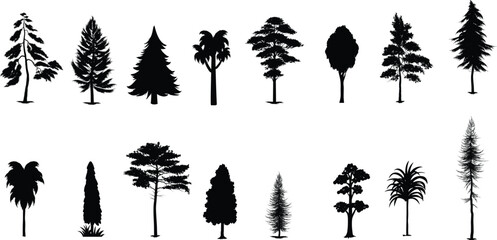 tree pine silhouette, cypress evengreen vector, cedar forest wood illustration, conifer tree logo template, tattoo design, white and black drawing illustration, icon tree template. © Mohd