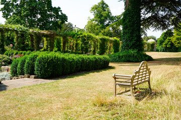 Wooden bench in the middle of grassland