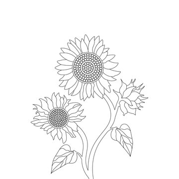 Sunflower Vector Line Art Summer Nature Hand Drawn illustration