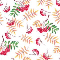 Seamless pattern with watercolor autumn leaves and rowan berries isolated on white background.