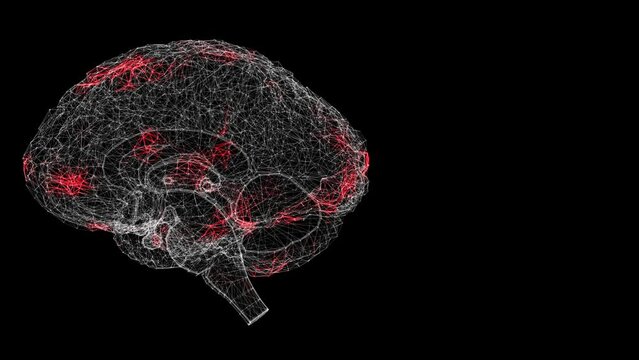 Spread of virus through 3D human brain on black background. Visual demonstration of virus in the body. Tutorial Video. Science Medical concept. 60 FPS 3D animation