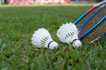 Badminton outdoor sport equipments, rackets and shuttlecocks, on grass, soft and selective focus on feather, concept for healthy sport and recreational activity.