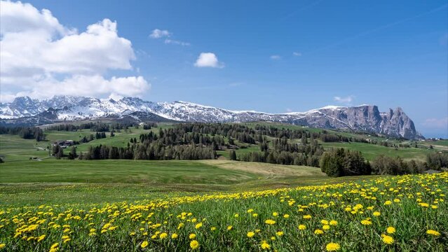 Timelapse of a beautiful, wide alpine meadow full of flowers in the Italian Alps. Clouds pass over the distant snow-capped mountains. Seiser Alm (Alpe di Siusi) in the Dolomites, South Tyrol, Italy.