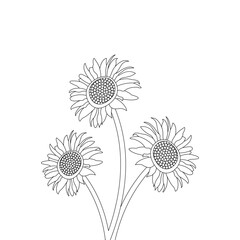 Fototapeta premium Bouquet of Sunflower Hand Drawn Tattoo Engraved illustration Sketch Coloring Page