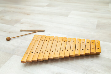Wooden xylophone with sticks