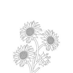 Sunflower Line Art on a White Background Vector Illustration