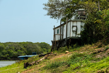 The Corumbiara State Park, in Rondonia, Brazil, brings together a unique biodiversity in three biomes: Pantanal, Amazon and Cerrado.