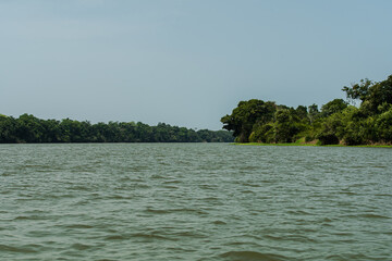 The Corumbiara State Park, in Rondonia, Brazil, brings together a unique biodiversity in three biomes: Pantanal, Amazon and Cerrado.