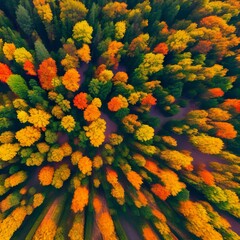 Serene forest, with trees adorned in vibrant summer colors aerial. AI generated
