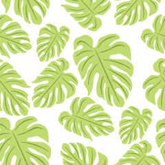 Seamless pattern with  green monstera leaves