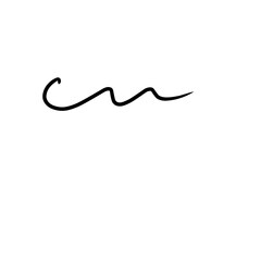 Curly Swishes Swashes