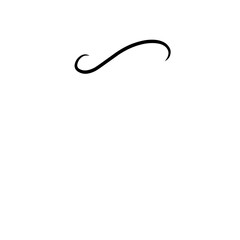 Curly Swishes Swashes