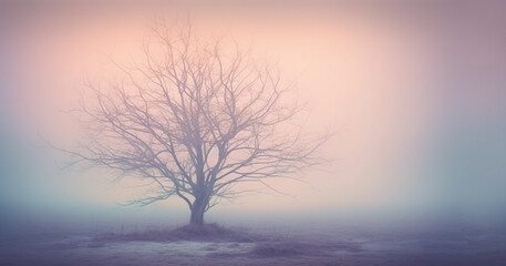 Amazing foggy light in mystical autumn forest, Beautiful pastel colored fog forest and tree background, trees and large branches with fall orange leaves