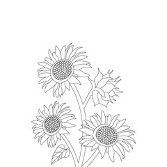 Sketch of Sunflower Hand Drawn Outline Vector