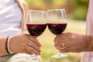 European mature couple cheers with glasses of red wine, enjoy picnic date in park, outdoor, cropped
