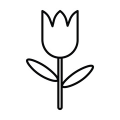 tulip icon, flower vector, wedding illustration