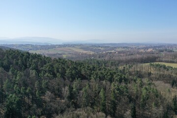 Fototapeta premium default