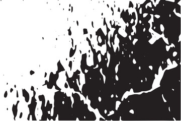 black ink splashes on white background ,  grunge texture , black and white texture for background 