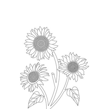 Sunflower Plant Coloring page Outline zentangle Hand Drawn