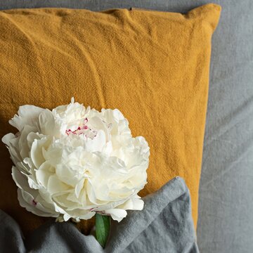 Fresh flowers on the bed (pillow) in the room. Fashionable colors in textiles are gray and terracotta (orange). The concept of restful sleep in clean fragrant bed. Beautiful peonies, present.