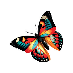 Butterfly illustration. white background vector