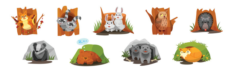 Animals Inside Their Burrow Living in Forest Vector Set