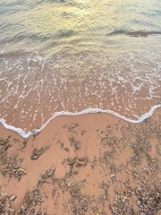 Close-up of sea foam and waves on the shore of the Red Sea