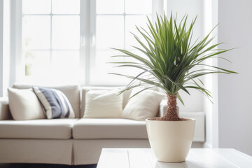 Beautiful green plant in a pot on blurred living room interior background. Generative AI.