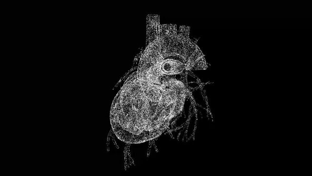 3D human heart rotates on black bg. Cardiovascular system human body. Object dissolved flickering particles. Scientific medical concept. For title, text, presentation. 3d animation 60 FPS