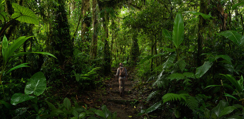 Backpacker walking in the rainforest. AI generative
