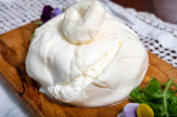 Obraz premium Eating of fresh handmade soft Italian cheese from Puglia, white balls of burrata foglia saporosa or burratina cheese made from mozzarella and cream filling close up