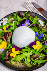 Сheese collection, one big ball on soft white italian mozzarella bufala campania cheese with green rocket salad leaves and viola flowers