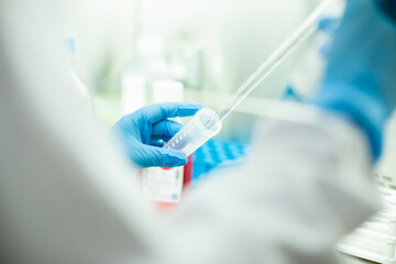 cell culture at the laboratory of cell culture  medical and medicine 