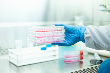 cell culture at the laboratory of cell culture  medical and medicine 