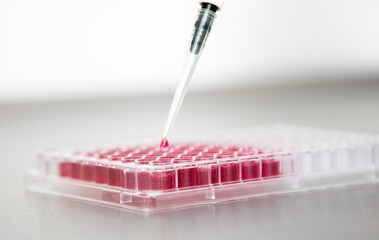 cell culture at the laboratory of cell culture  medical and medicine 