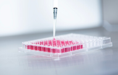cell culture at the laboratory of cell culture  medical and medicine 