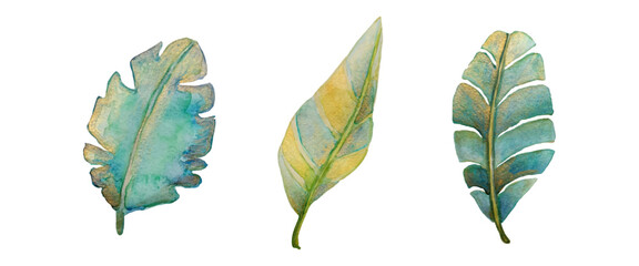 Tropical watercolor leaves set. Watercolor with gold. Vector illustration.