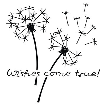 Wishes come true poster with dandelion. Umbrellas with seeds and hand written text. Graphic clip art in black on a white background.Linear print on fabric and paper.Vector isolated illustration.
