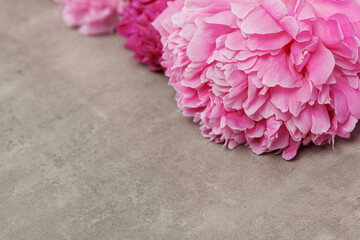 beautiful peonies on a gray table