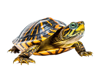 Obraz premium Map turtle., generative artificial intelligence