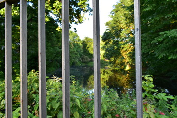 river in the park behind bars concept of nature being prisoned