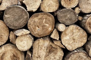 Background of stacked chopped wood logs. Pile of wood logs ready for winter. Wooden stumps,...