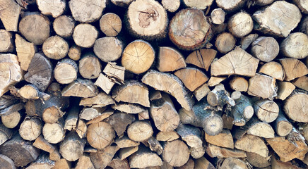 Background of stacked chopped wood logs. Pile of wood logs ready for winter. Wooden stumps, firewood stacked in heap