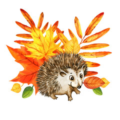 watercolor cartoon cute hedgehog with autumn leaves, hand drawn illustration of yellow and orange maple leaves, mountain ash leaves, sketch isolated on white background