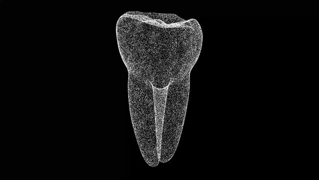 3D tooth rotates on black bg. Object dissolved flickering particles. Scientific medical concept. For title, text, presentation. 3d animation 60 FPS