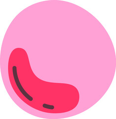 Myeloblast Human Cell