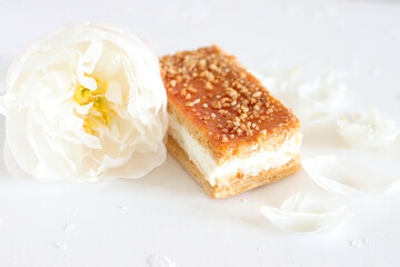 Creamy cake,  piece of  layer pie, sweet dessert