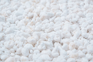 Perlite for plants. neutral material of volcanic origin